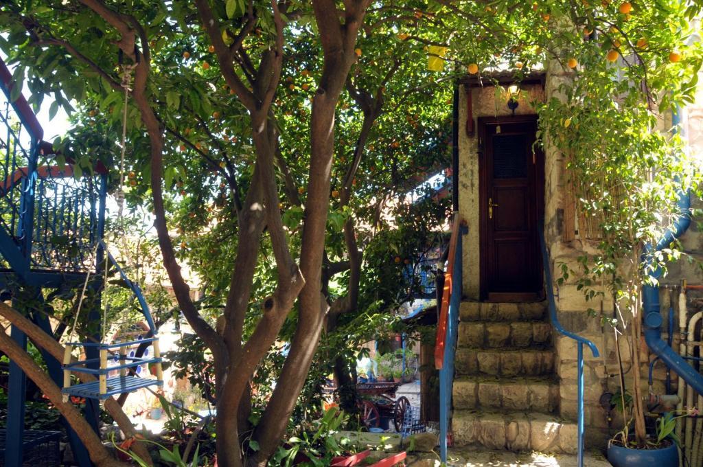 Villa Tehila - By V Club Chain Rosh Pinna Luaran gambar
