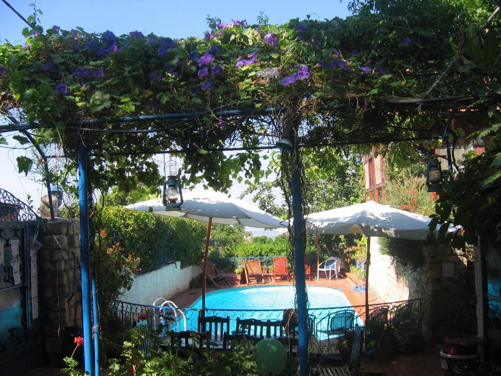 Villa Tehila - By V Club Chain Rosh Pinna Luaran gambar